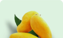 FB SINDHRI MANGO