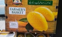 FB SINDHRI MANGO